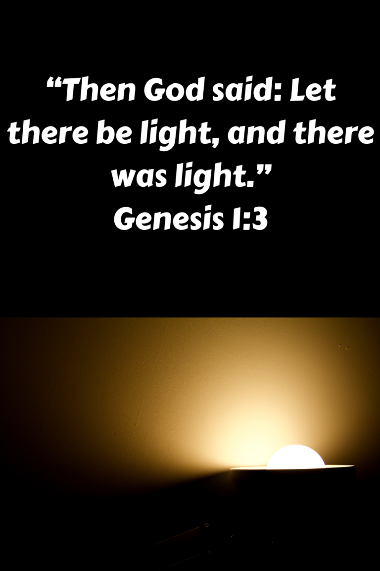 How do Glow Sticks Work Fall Homeschool Science Series Ora Et Schola