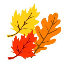 why do leaves change color in the fall