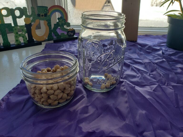 dried chickpeas in mason jars