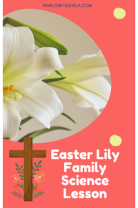 Catholic Easter science activity pin
